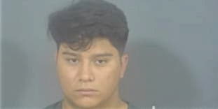 Noe-Omar Cornejo-Garcia, - St. Joseph County, IN 